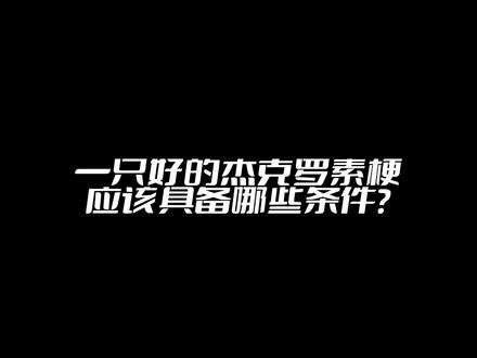 喜欢杰克罗素梗的朋友们可以先了解#杰克罗素梗 #抖in萌宠计划 #萌宠出道计划#科普 #科学养宠攻略