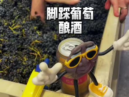 有人知道为什么用脚踩的葡萄酒反而卖的更贵吗? #葡萄酒 #酿酒 #干净又卫生