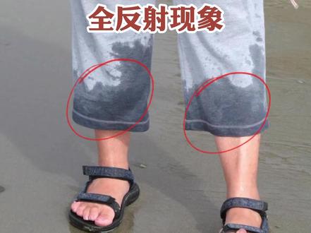 #科学实验 #科学 为什么沾水的衣服颜色更深?