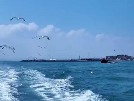 都什么时候了,还惦记着排h污水 #万万想不到 #日本 #核污水 #海洋 #地球