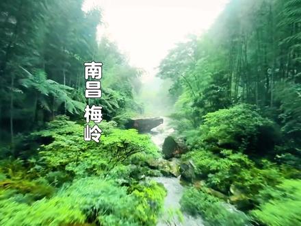 与南昌旅行博主吴二零一起探寻自然的美好 #江西老表干一杯#毛铺居然出了绿瓶#南昌博主#江西旅行博主吴二零