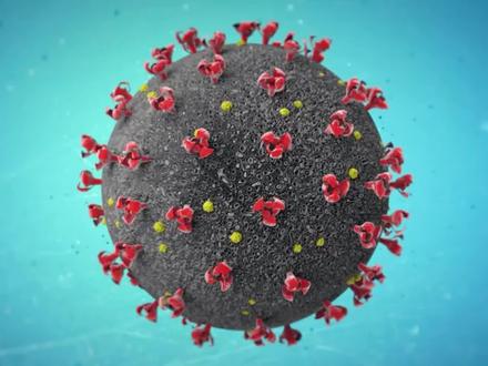 #尼帕病毒 #尼帕病毒感染病例报告