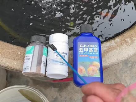 高锰酸钾,二氧化氯是针对细菌,亚甲基蓝是针对真菌,对硝化细菌的伤害也不一样,别搞错了。#鱼缸消毒 #观赏鱼 #水缸养鱼 #古法养鱼 #技术分享