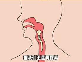 #金针菇自循环理论 金针菇真的能吃一个礼拜吗#涨知识 #冷知识 #美食 #金针菇