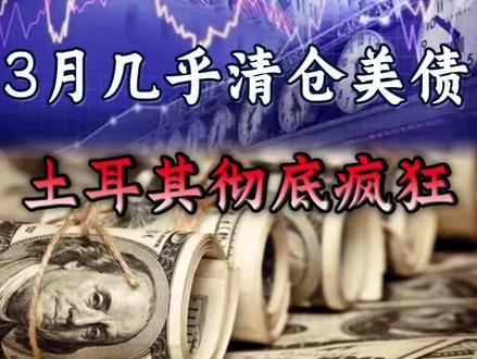 土耳其彻底疯狂!3月几乎清仓美债 #财经 #硬核深度计划 #掘金计划2026 #经济 #国际局势