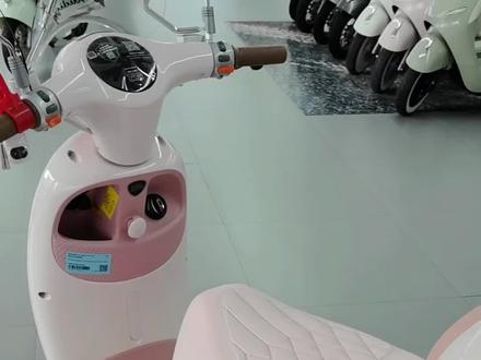 蝴蝶隐藏功能#台铃电动车