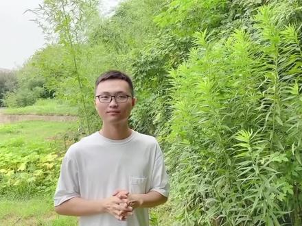 七分钟带你了解植物知识!#植物科普 #科普 #花卉绿植 #知识分享