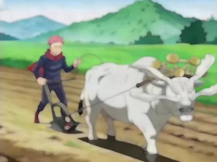 神秘农家乐,根本适应不了#虎杖悠仁 #魔虚罗 #咒术回战