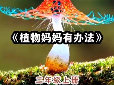 二年级上册语文《植物妈妈有办法》课文朗读动画 #二年级语文 #课文朗读 #二年级 #二年级课文朗读视频 #课文背诵