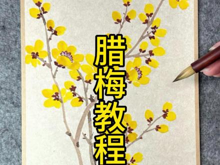 超简单的腊梅~#想画就画 #感受国画的意境之美 #零基础学画画 #没骨画 #梦如画馆