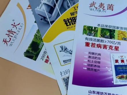 单页(彩页、DM单)介绍