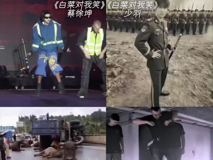 来看看《白菜对我笑》四个不同版本的区别 #白菜对我笑 #热 @抖音小助手 @抖音创作小助手