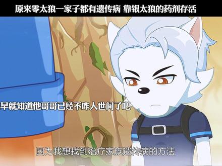 原来零太狼一家子都有遗传病 靠银太狼的药剂存活