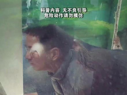 一口气带你认识摄影界的二十位鬼才#摄影 #科普 #抽象 #鬼才