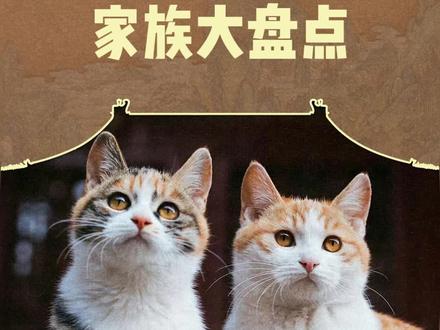 「故宫宫猫家族大盘点」在今天如果能有谁被誉为故宫的主子,那也只有这些“猫主子”了,三分钟给大家讲讲故宫猫主子的“在编家族”和“编外散户”吧,留言告诉我你最喜欢哪一小只带爪护卫~#故宫 #养猫 #故宫猫 #故宫猫帕帕