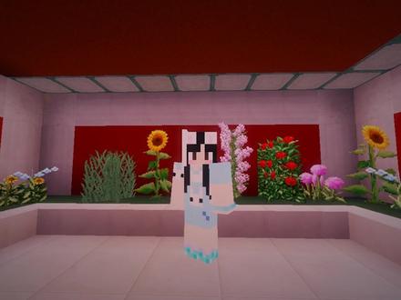 带名字版皮肤秀!现实里没有这么多衣服在游戏里换到爽!#我的世界 #minecraft #换装秀