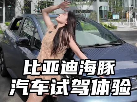 颜值到驾驶,每一点都长在需求上#海豚智驾版#比亚迪#全民智驾加配不加价