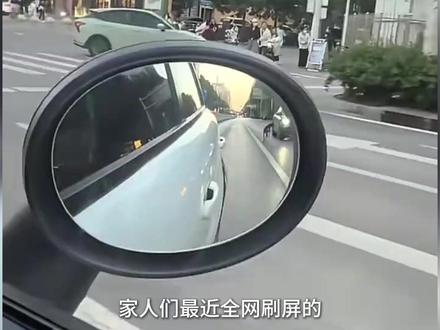 被送往石家庄的波音达犬金宝,拦下了所有“妈妈同款”大众车 石家庄街头,波音达犬拦车,只为了寻找主人#石家庄 #金宝 #大众ID6 #波音达犬