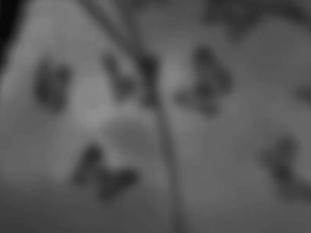 孙睿扬配的游主任好破碎呜呜呜我碎了
#配音演员孙睿扬 #孙睿扬