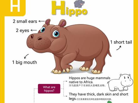 关于河马🦛的英语思维导图