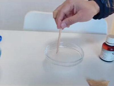 碘遇淀粉变蓝色#化学实验 #实验 #儿童科学实验