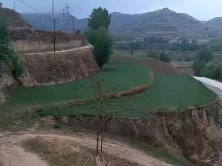 最熟悉的一条小路。最爱的一个村庄。#甘肃会宁