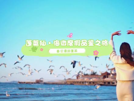 来蓬莱3天怎么玩?这份保姆级游玩攻略一定要看到最后!#旅行推荐官 #有海的城市确实浪漫一点 #带你去看海 #蓬莱旅游 #去看可以治愈一切的海