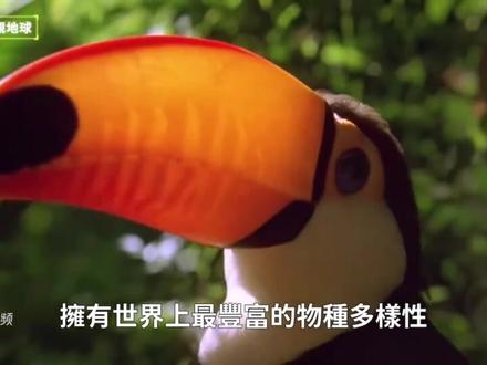 亚马逊十大发现#亚马逊雨林