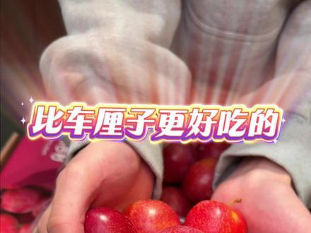 比车厘子更好吃的智利进口樱桃李 近两年来全新品种 #樱桃李 #车厘子