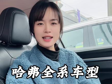 如何查看电池电量,用车小知识来咯#哈弗 #用车知识