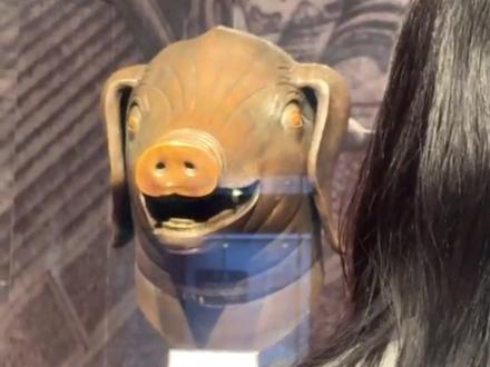 豆包,生活中的百科全书 #豆包 #十二生肖兽首 #视频通话 #生活百科全书 #zh