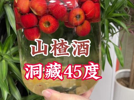 山楂泡酒制作过程 山楂酒的泡制方法#乌衣金梅纯粮酒#乌衣散酒哪家好?#乌衣不老泉酒坊#不老泉乌衣店