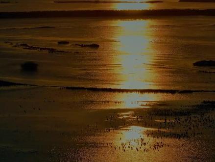 聚焦检察公益诉讼,历经一年蹲点跟拍。纪录片《人民的利益》开播!