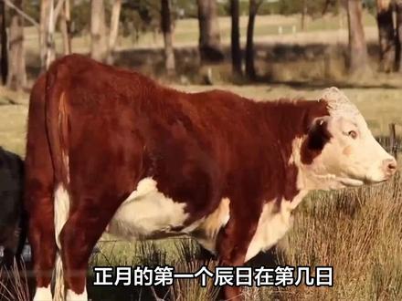 老人说:2024年是“一龙治水,三人分饼,十牛耕田”,啥意思? #干支历 #年景