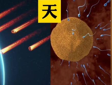 天地与我并生,而万物与我为一 你本自具足,你无处不在,你是无限。去服务去创造吧!#庄子 #国学 #心理学