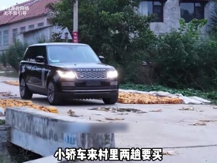 一句这石头值三十万 给大爷憋得一百岁不敢咽气 #国宝帮 #离谱 #古董 #万万没想到