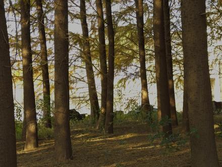 开箱盛烨MP5K UTG #WARGAME #战术装备 #MP5 #开箱 #真人cs