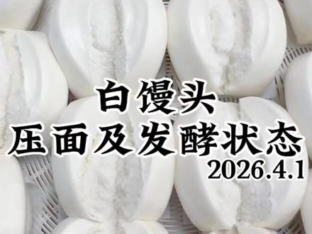 #08天才恒少 #馒头 白馒头压面及发酵状态详解