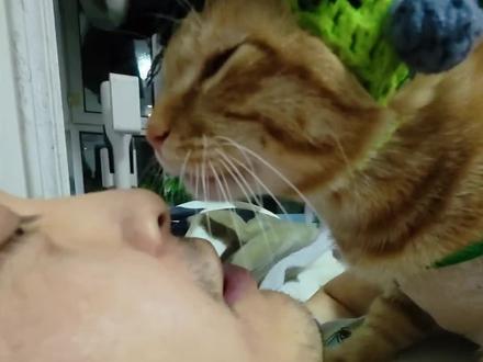 大橘发型一换气场都变了#我和我的猫 #猫咪的迷惑行为 #猫咪日常 #家有橘猫 #萌宠出道计划