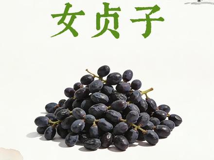 从寒冬里的烂野果,到人人追捧的‘黑珍珠’,这串小小的果实到底藏着什么力量?竟让身陷绝望的母女重拾希望。#女贞子 #植物科普 #古人的智慧 #涨知识