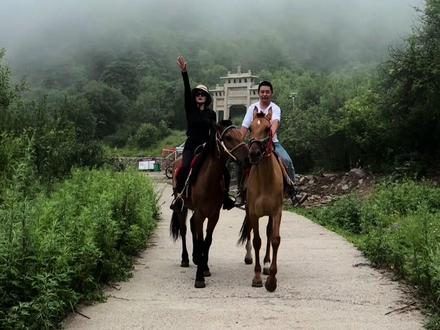 历山舜王坪攻略来啦~#假期游玩 #自驾游 #森林氧吧 #山不见我我自去见山 #亲子游玩好去处