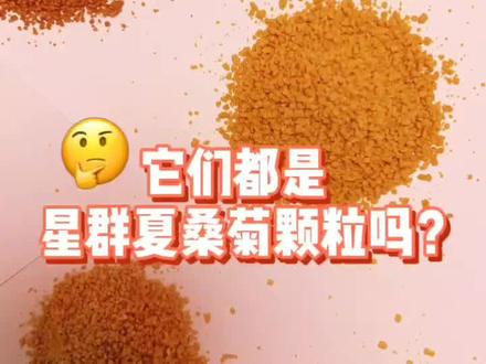 #谁是卧底 星群夏桑菊版本!大家都来猜一猜!谁才是真正的星群夏桑菊吧!