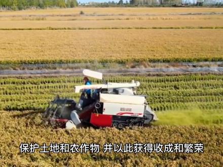 古希腊神话(5)——农业女神德墨忒尔#古代神话故事讲解 #关注我每天分享不同的故事 #古希腊神话 #美丽的神话 #神话故事
