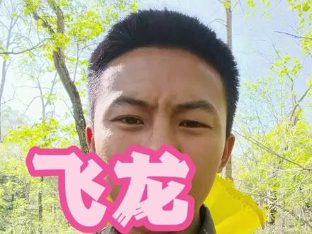 飞龙是国家二级保护动物,学名花尾榛鸡。#涨知识 #科普 #三农 #农村生活 #农村