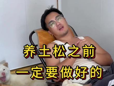 你真的适合养土松吗?#土松犬 #中华田园犬 #白土松