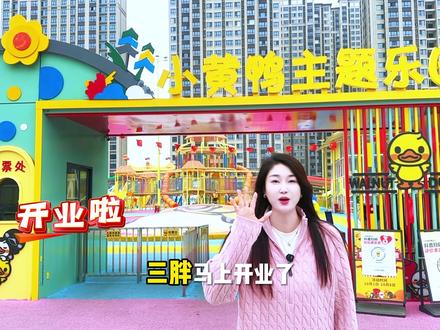 #胖东来 #新乡三胖 停车攻略 #小黄鸭主题乐园 #游玩攻略