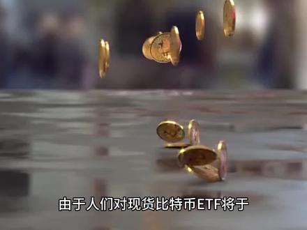 SOL和这三种山寨币2024 年他们的增长会持续吗?