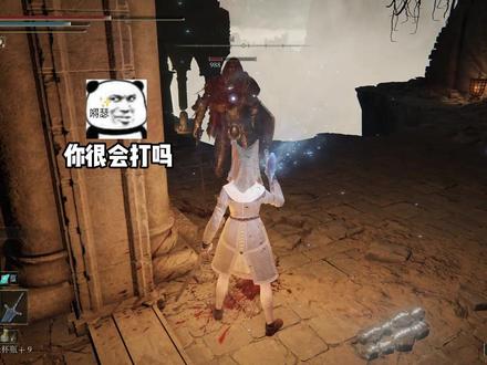 已老实 求放过 #艾尔登法环 #艾尔登法环dlc #steam游戏