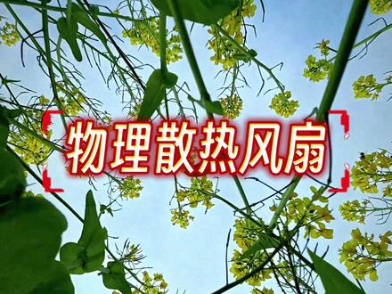 不会=白买,属于iQOO 15 Ultra的3个技能你知道吗 不同于其他手机,我手上的iQOO 15 Ultra有3个专属功能,如果你不知道没用过,就有点可惜。#iqoo手机隐藏功能 #iQOO15Ultra #iQOO #玩机技巧 #数码科技