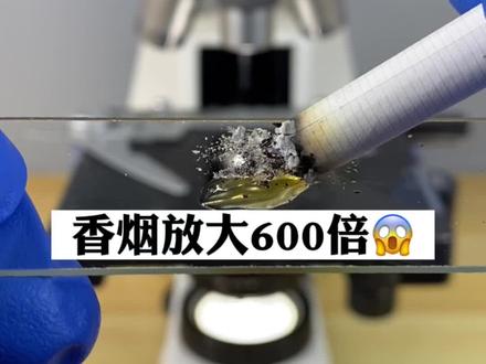 烟油放大600倍 #显微镜下的世界 #香烟